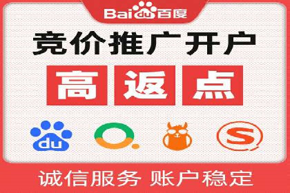 竞价端口开户后的广告投放策略案例